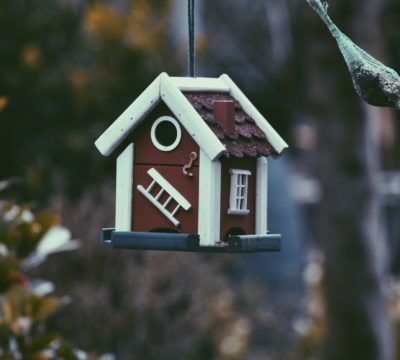 a small bird house