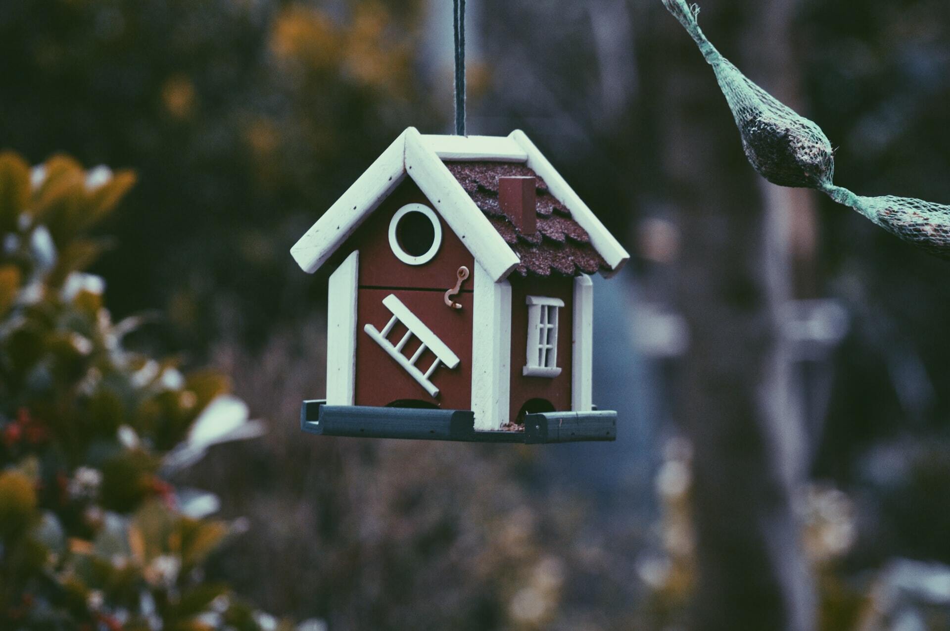 a small bird house