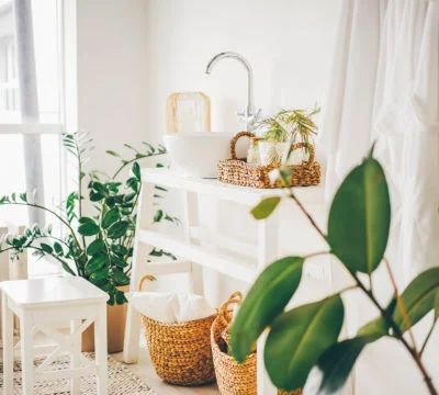 a basket with plants in it