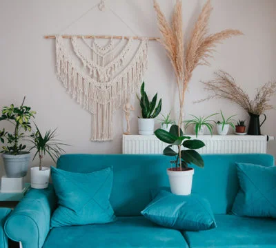 a blue couch with plants in the background