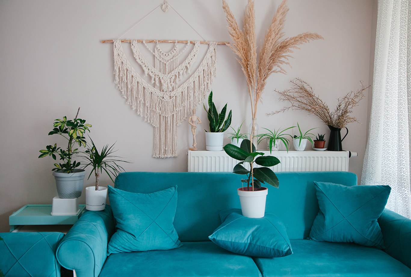 a blue couch with plants in the background