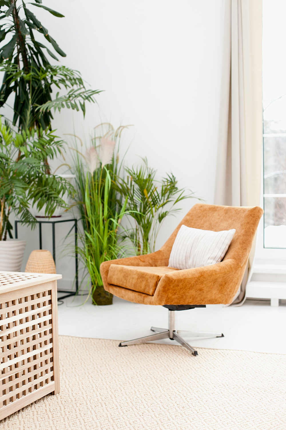 a chair and a plant in a room