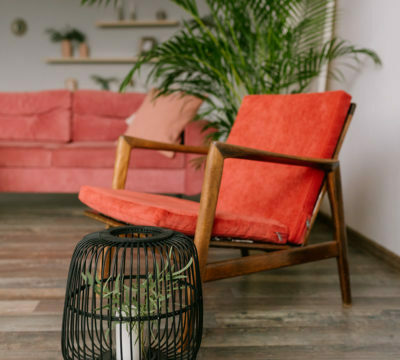 a chair with a plant on the side